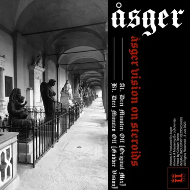 Åsger Vision On Steroids by åsger - album cover