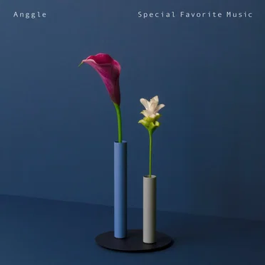 Anggle