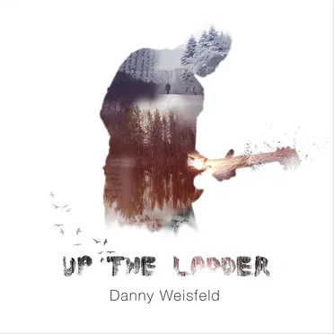 Up the Ladder by Danny Weissfeld - album cover