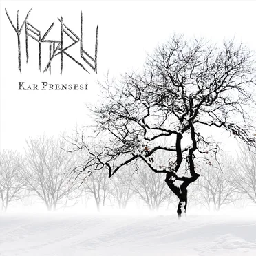Kar Prensesi by Yaşru - album cover