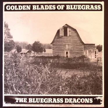 Golden Blades of Bluegrass