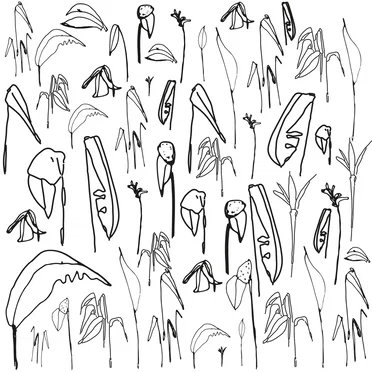 Sketches, Outtakes & Rarities Volume 1 & 2 by Library Tapes - album cover