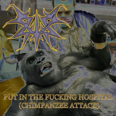 Put In The Fucking Hospital (Chimpanzee Attack)