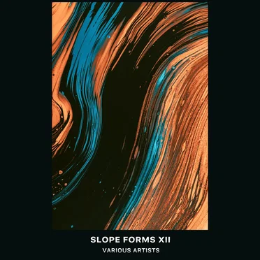 Slope Forms XII by Various Artists - album cover