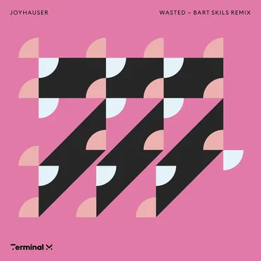 Wasted (Bart Skils remix)