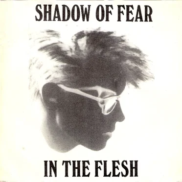 Shadow of Fear