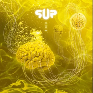 Octa by S.U.P. - album cover