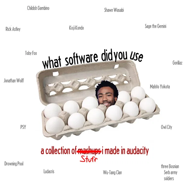 what software did you use