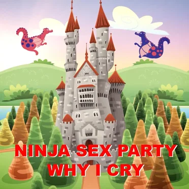 Why I Cry by Ninja Sex Party - album cover