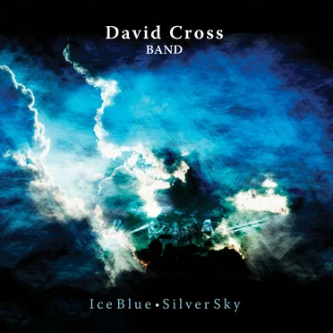 The David Cross Band