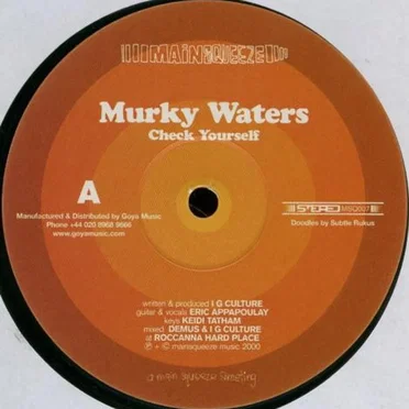 Check Yourself by Murky Waters - album cover