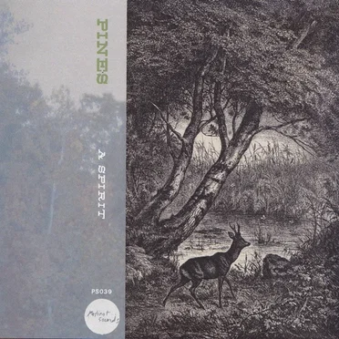 A Spirit by Pines - album cover