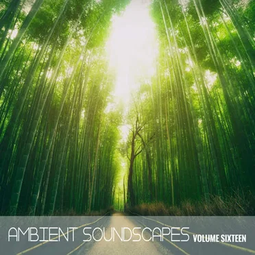 Ambient SoundScapes, Vol. 16