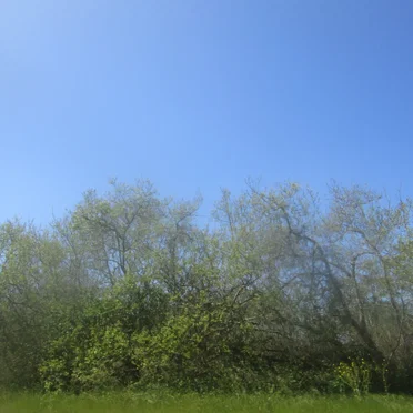 Driving Through King Salmon, CA