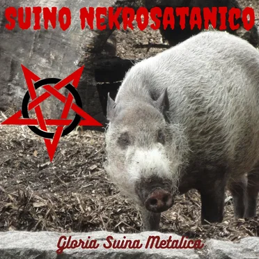 Gloria Suina Metalica