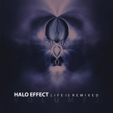 Life Is Remixed (Volume 2)