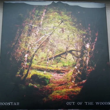 Out of the Woods by Roostar - album cover