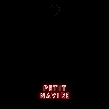 Petit navire