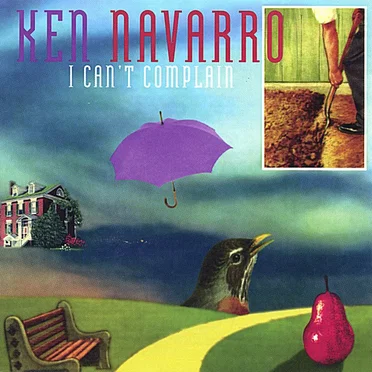 I Can't Complain by Ken Navarro - album cover