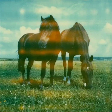 Day by Day by LA Beard Club - album cover