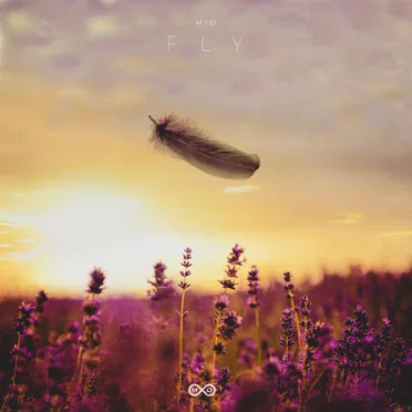 Fly