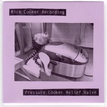 Rice Cooker Recording