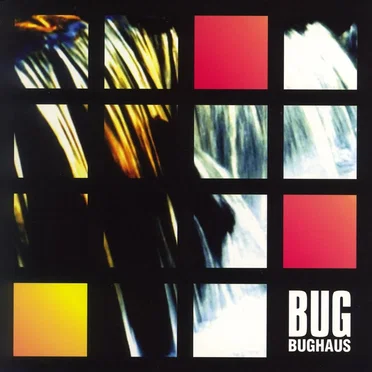 BUGHAUS