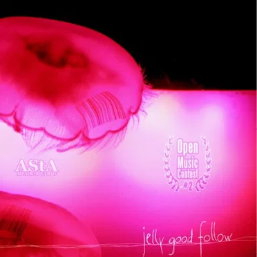 Open Music Contest #2: 'Jelly Good Follow' by Various Artists - album cover