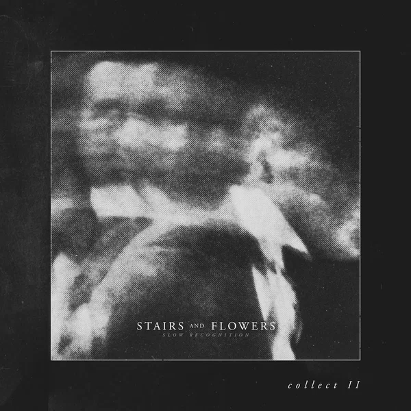 Slow Recognition (Collect II)