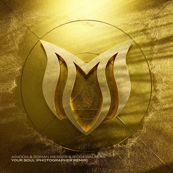 Your Soul (Photographer Remix)