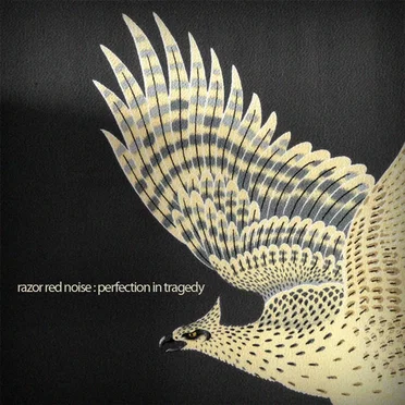 Perfection In Tragedy by Razor Red Noise - album cover
