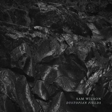 Dystopian Fields by Sam Wilson - album cover