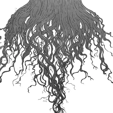 Crow Hill by Meursault - album cover