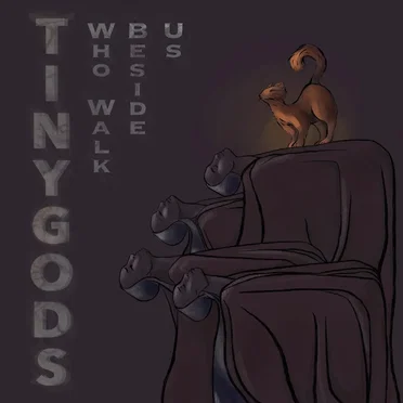 Tiny Gods Who Walk Beside Us by Various Artists - album cover