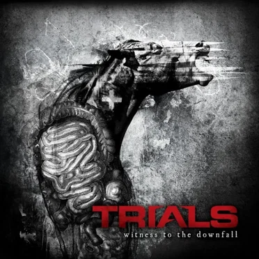 Witness to the Downfall