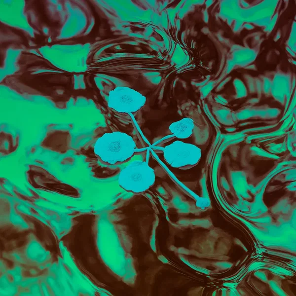 An Ever-Growing Meridional Entertainment Transgression at the Edge of the Multiverse