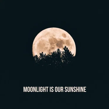 Moonlight Is Our Sunshine by Various Artists - album cover