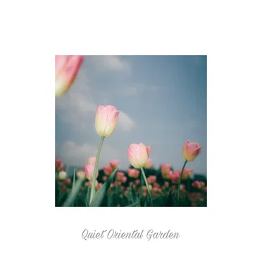 Quiet Oriental Garden