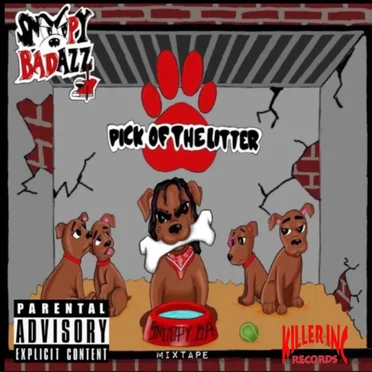 Pick of the Litter (Mixtape) by Snoopy Badazz - album cover