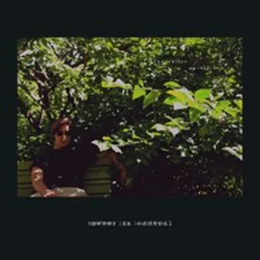 Never in Control by The Walter Metsärinne EP - album cover