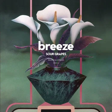 Sour Grapes by Breeze - album cover
