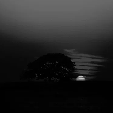 Black Dreams