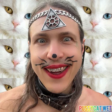 PussyCat Wet