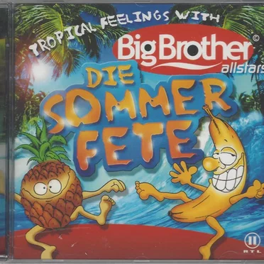 Big Brother Allstars - Die Sommerfete by Various Artists - album cover