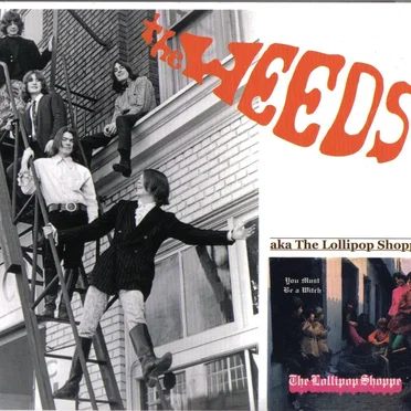 The Weeds - aka the Lollipop Shoppe by The Weeds - album cover
