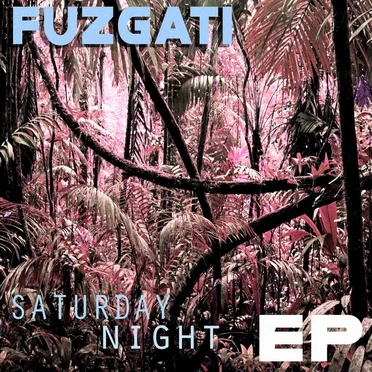 Saturday Night EP by Fuzgati - album cover