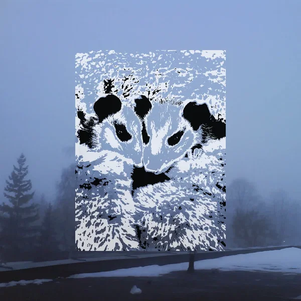 [untitled]