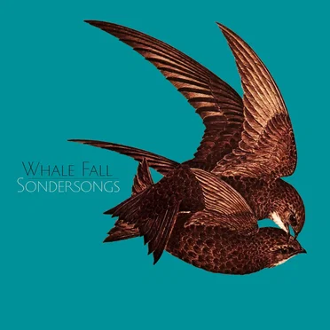Sondersongs by Whale Fall - album cover