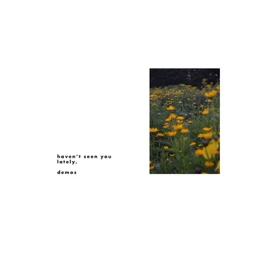 Haven't Seen You Lately, Demos