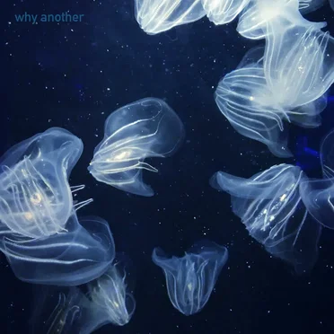 Why Another by Why Another - album cover